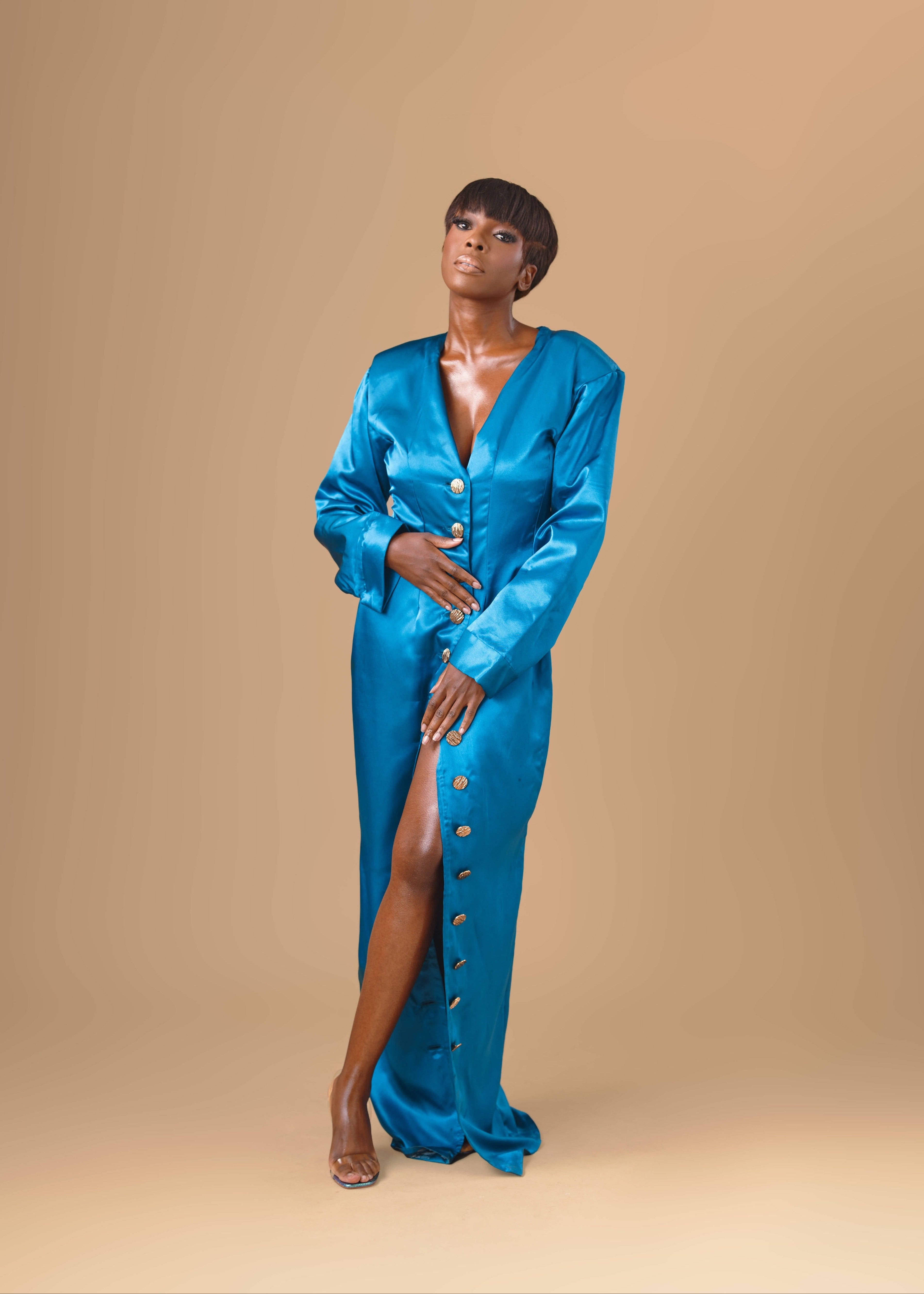 LUMIERE DRESS  690,95€